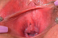 $1 Gapemypussy.com Trial Membership s2