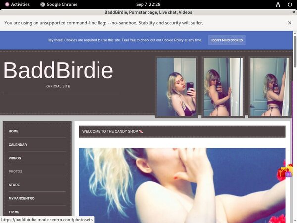 BaddBirdie Premium Free Account