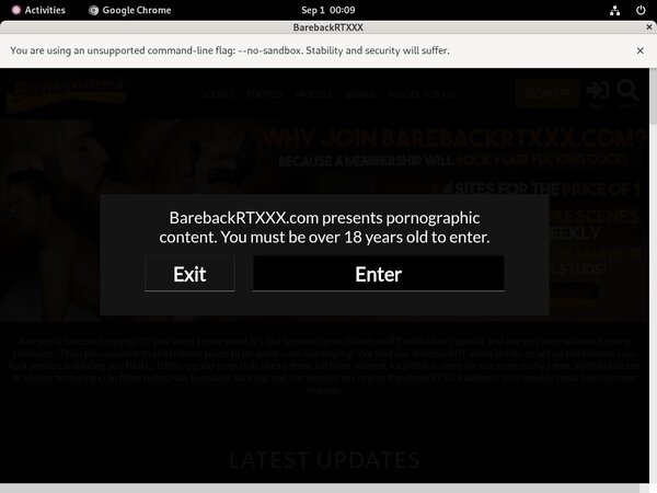 BarebackRT XXX Review Site