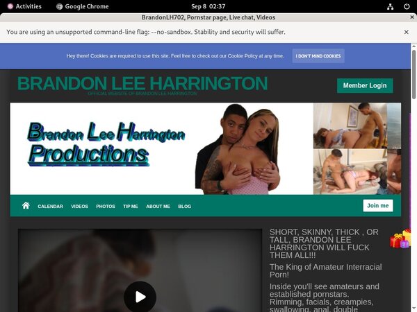 Brandonlh.com Users