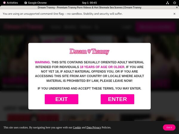 Dreamtranny Members Area