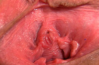 Gape My Pussy Paysite s5