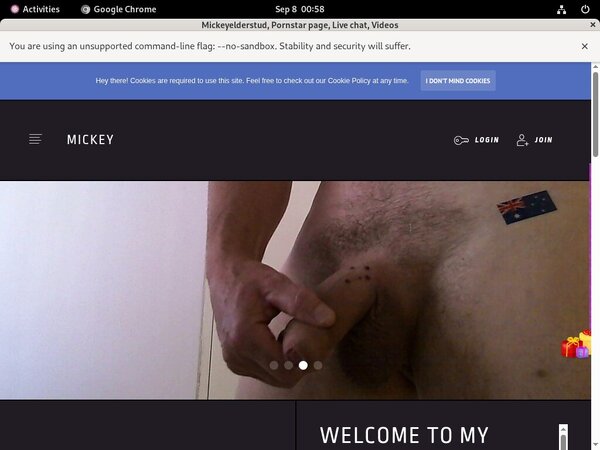 Get Free Mickeyelderstud Passwords