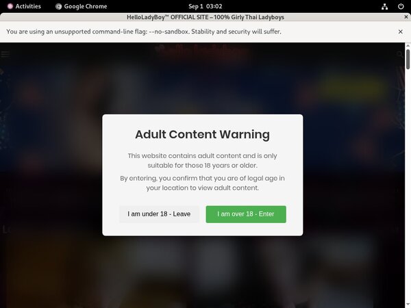 Helloladyboy.com Mit ELV