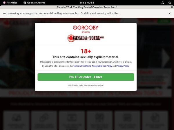 How To Get Into Canada-tgirl.com Free