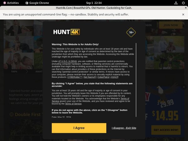 Hunt 4k Accounts Working