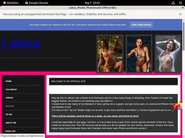 Lakea-model Valid Account