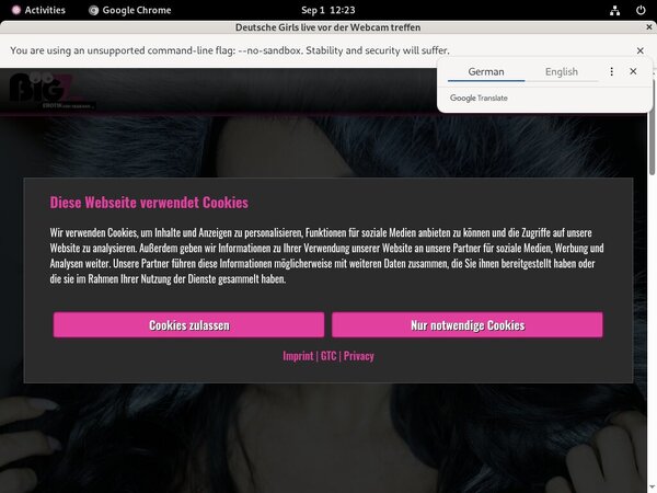 Lanagiselle.tv Bank Payment