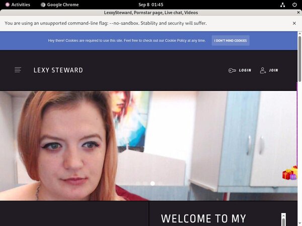 Lexxysteward.modelcentro.com Daily Pass
