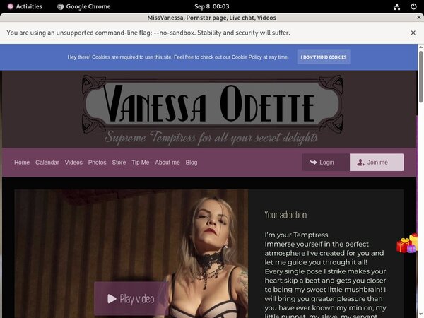 Missvanessa.modelcentro.com Full Com