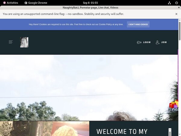 Naughtyjeanette.com Sign