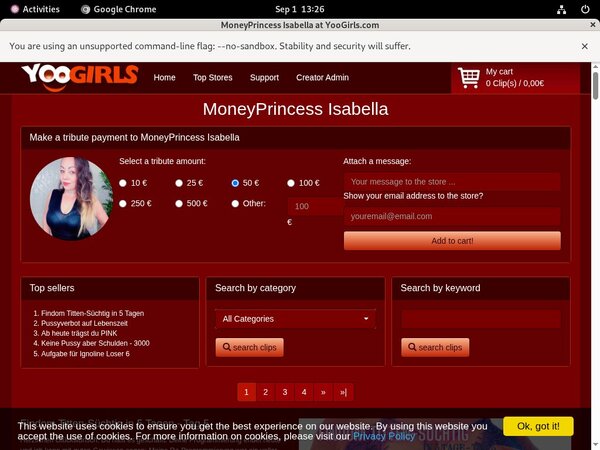 Passwords For MoneyprincessIsabell