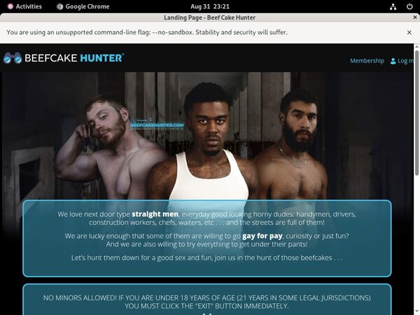 Premium Beefcakehunter.com Passwords