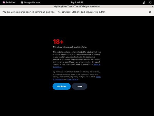Premium Myveryfirsttime.com Passwords