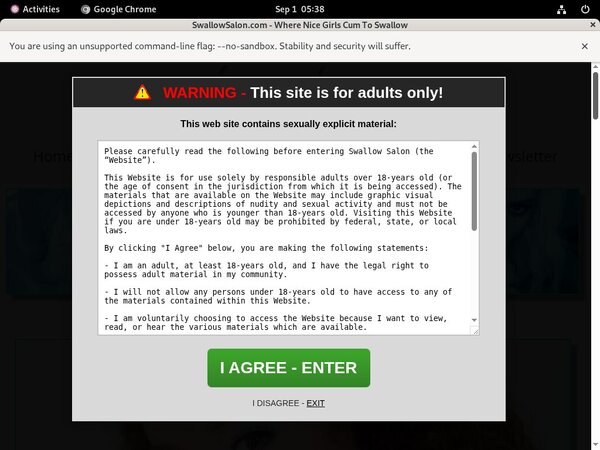 Premium Swallowsalon Passwords