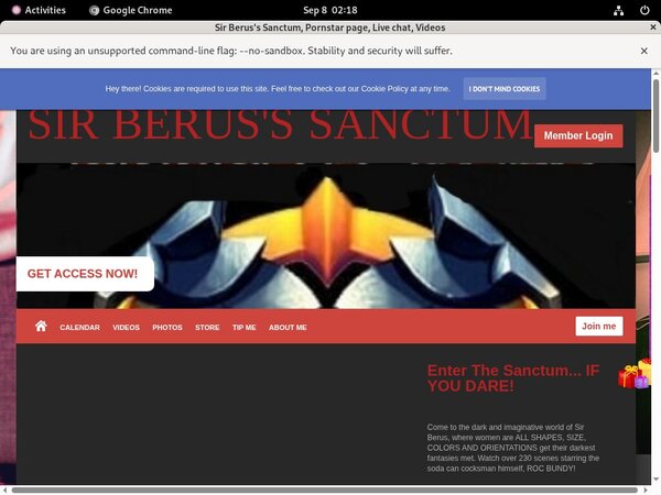 Sir Berus's Sanctum Site Rip New