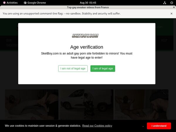 Sketboy Account Generator