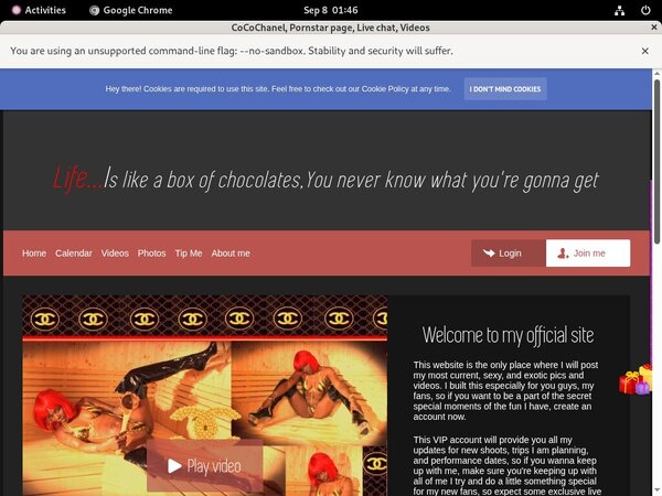 Who Is CoCoChanel