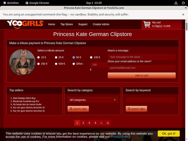 Account For Princess Kate German