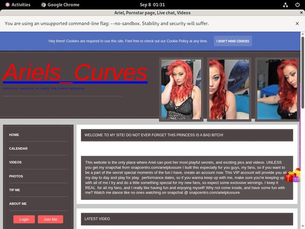 Ariel Gallaries