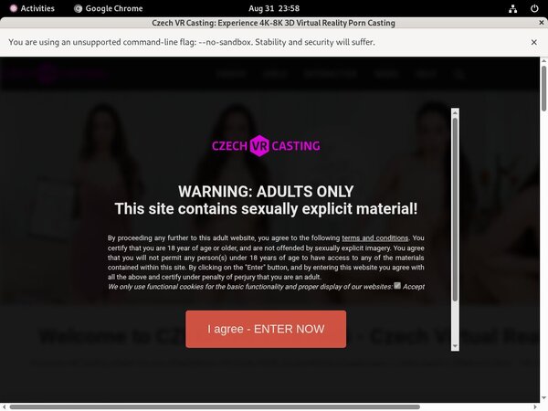 Czech VR Casting Blog