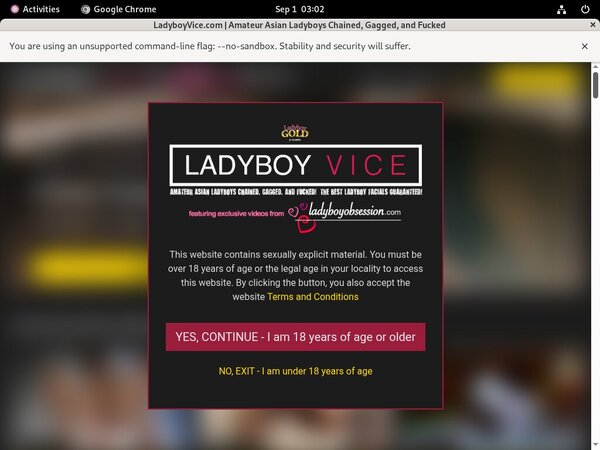 Ladyboy Vice Discount Urls