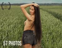 Plushies Canadian Dollars s0