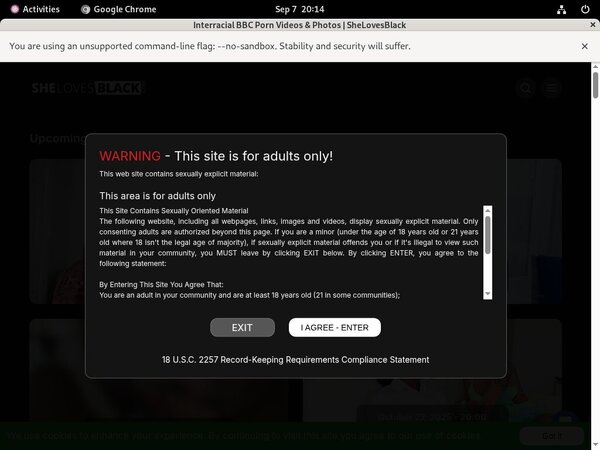 Shelovesblack.com Bbw