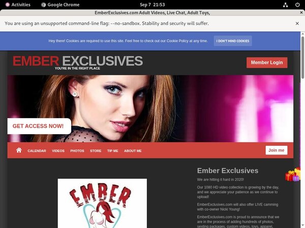 Valid EmberExclusives Passwords