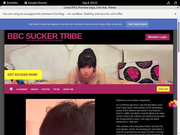 Videos De Linxer2013.modelcentro.com
