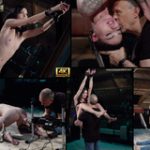 Xxx Sex Subspace Land