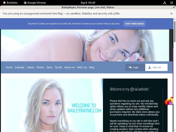 BaileyRayne Web Site