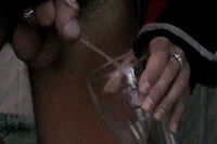 Boys-pissing.com Discount (up To 70% OFF) s1