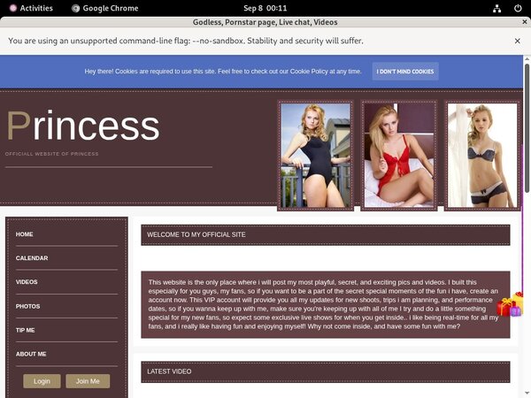 Cardboard.modelcentro.com Discount Monthly