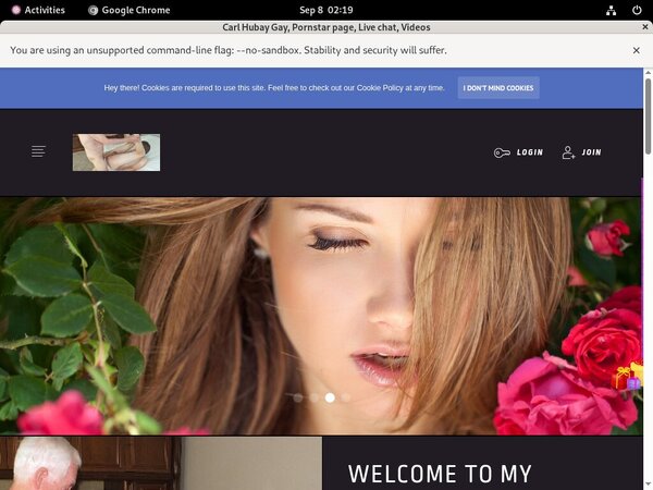 CarlHubayGay Lesbian