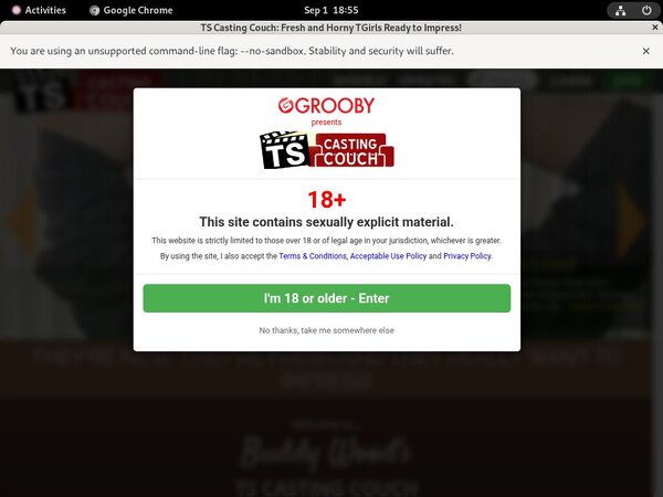 Discount Offer Ts-castingcouch.com