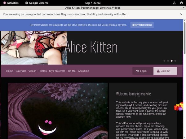 Free Trial Alice Kitten Discount