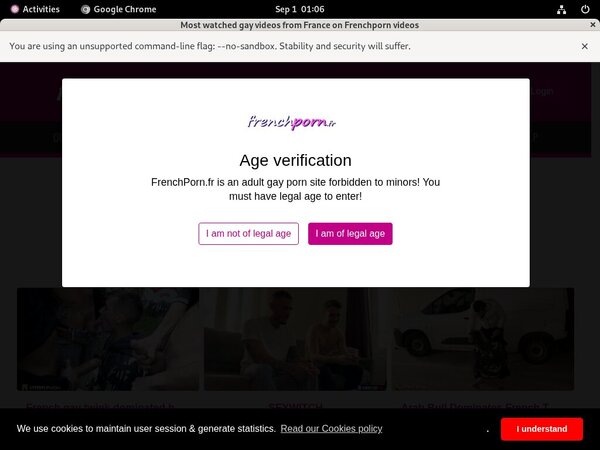 French Porn Gay With Free Trial