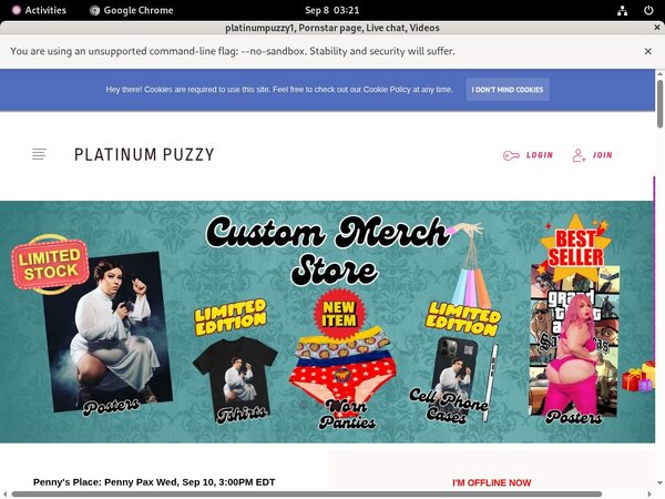 Get Inside Platinumpuzzy.net