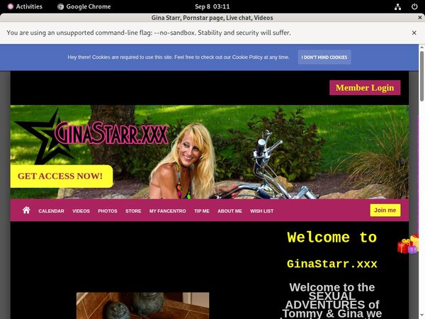 Ginastarr.xxx Website