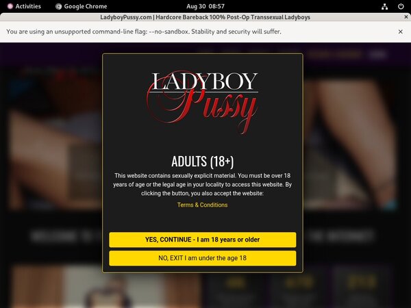 Ladyboypussy.com Account 2015