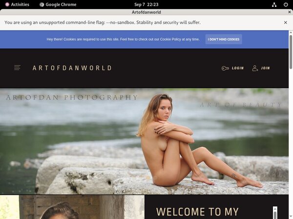Valid Artofdan Passwords