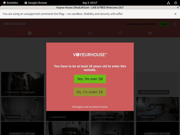 Voyeurhouse.com Accounts Passwords