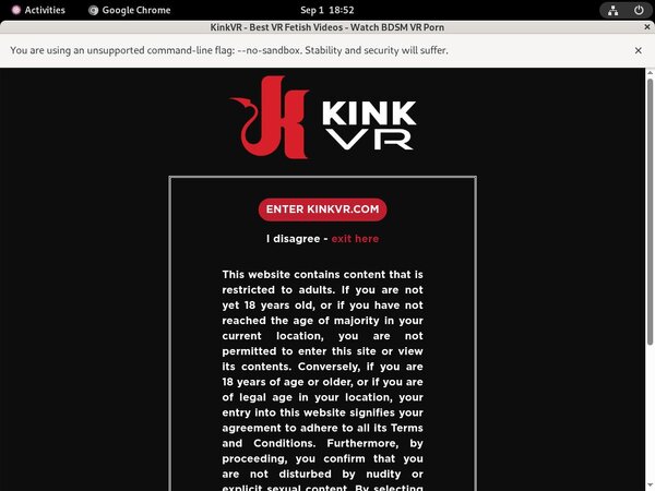 Account Kinkvr.com
