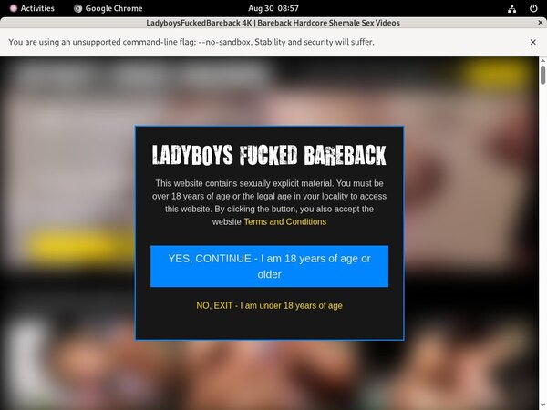 Ladyboys Fucked Bareback Paypal Offer