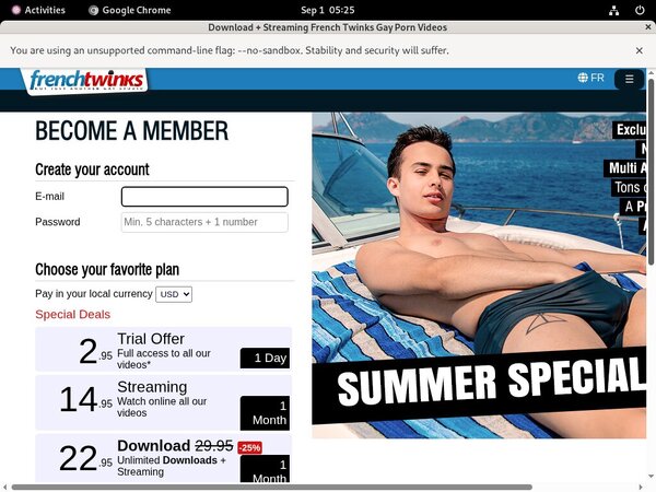 New French Twinks Discount Deal