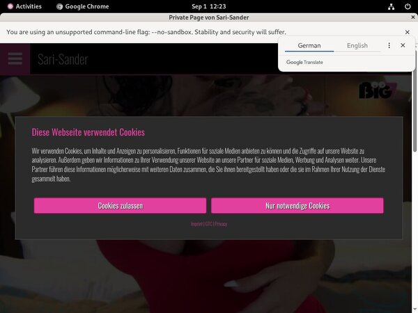Sander Sari Porn